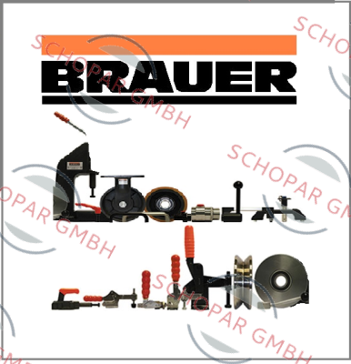 Brauer-AM20 price