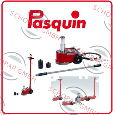 Pasquin-P105 price