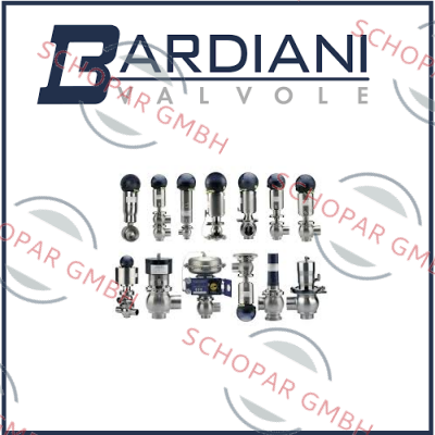 Bardiani Valvole-BBZP, KEGELVENTIL, DN 21/2" ODER DN65, LEPDM price