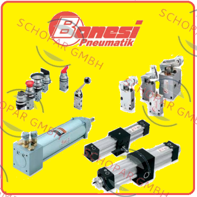 Bonesi Pneumatic-BOBE024DC price