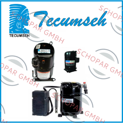 Tecumseh-CAE 2417 Z  price