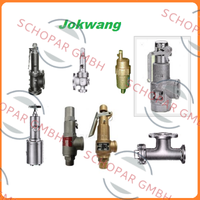 Jokwang-FF100-C-3/4"D1"-A11-212-CN2 8,5BARG  price