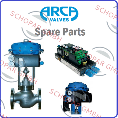 ARCA-GASKET, ITEM NO: 58, FOR DN100 PN160 CONTROL VALVES price