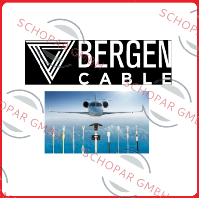 Bergen Cable Technology Llc-BM405 price