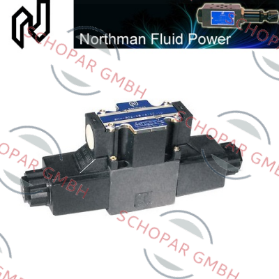 Northman-SW-G04-C3-ET-D24-20 price