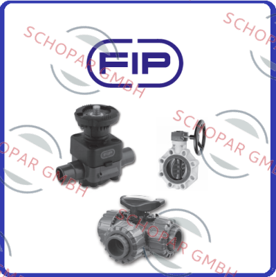 Fip-Obsolete - FlowX3 -  replaced by - F6.60.10  price
