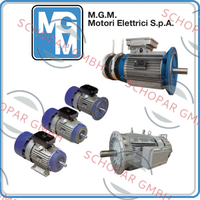 M.G.M MOTORI-BAX 90 SA4 kw 1.1 price