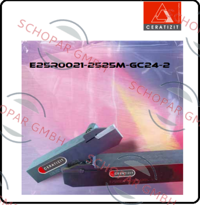 Ceratizit-E25R0021-2525M-GC24-2 price