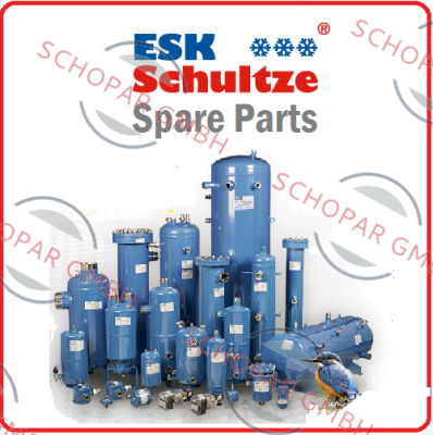 Esk Schultze-RV-10B/0,1 price