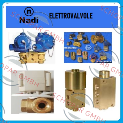 Nadi-L08I18U1C/H /AP/110VAC/NPT price