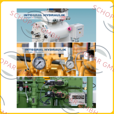 Integral-008-1329-364-000 IDS 160; 10...160BAR price