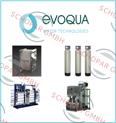 Evoqua Water Technologies-P/N: P-38405  price