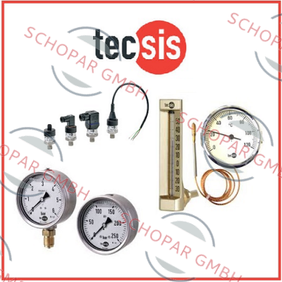 Tecsis (WIKA Group)-P3326B084021  price