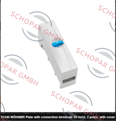 Wöhner-01 240 300 A price
