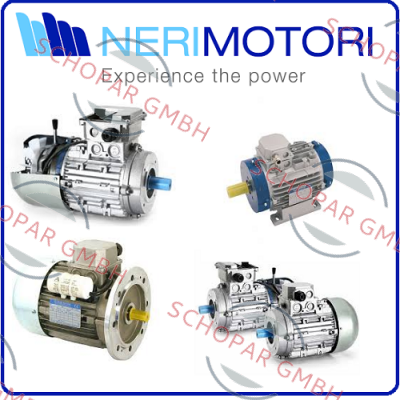 Neri Motori-13002211002 price