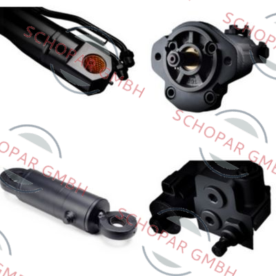 Roquet pump-RQ-5EVP29D2C02D24 price