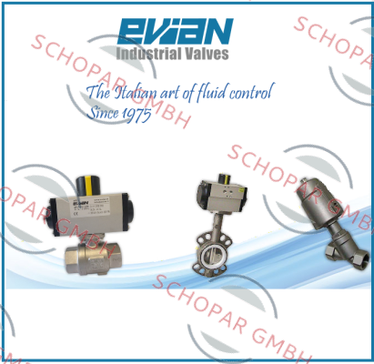 Evian-511480C0507 price