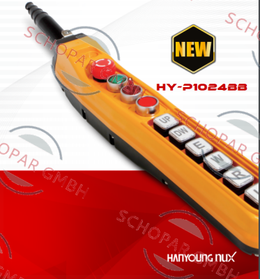 HanYoung NUX-HY-P1024BB price