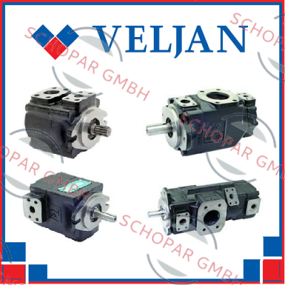 Veljan-POMPA VELJAN VT67DCB-B24-B14-B04-1R00-B1M1  price