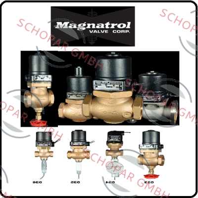 Magnatrol-E141K66-GZP price