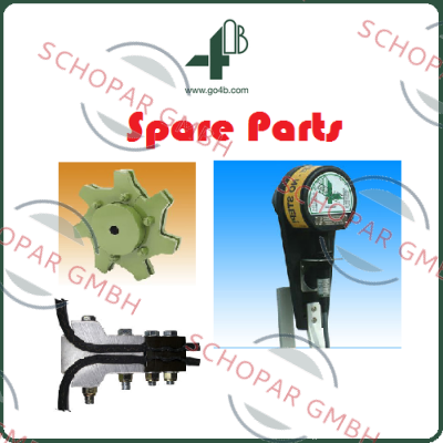 4B Braime-P1002V10A price