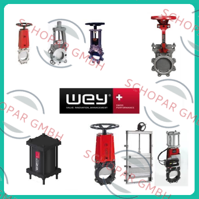 Wey Valve-VNC 1.4408  price