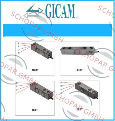 Gicam-R60/I price