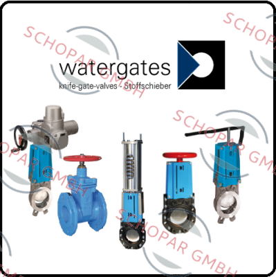 Watergates-WGE-SS-EPDM-100/PD  price