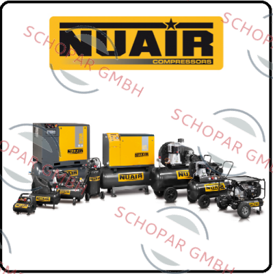 Nu-Air-elongated leaflets in the cylinder head for 8119640GDE price