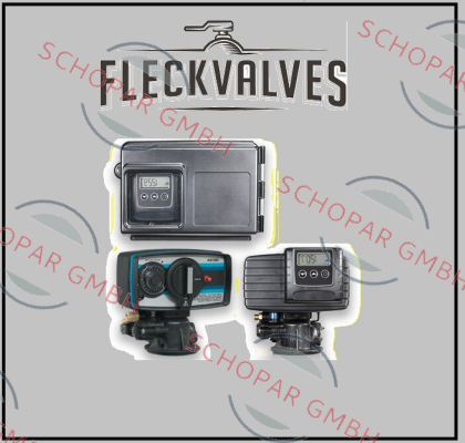 Fleck Valves-61024 price