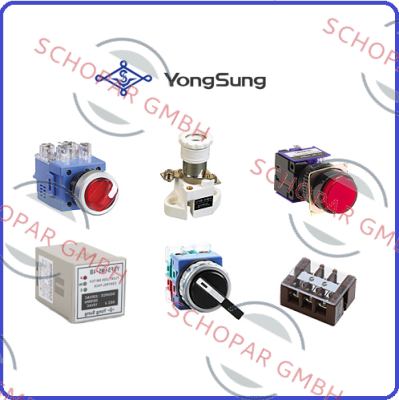 YongSung Electric-YS APL 22 DL 22 RH, ORANGE  price