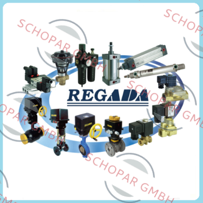 Regada-SP 0.1 331.0-0DBFR/00 price