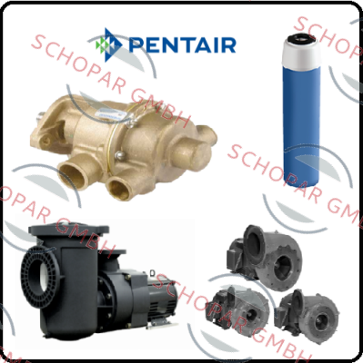 Pentek (Pentair)-255494-43 / ECP5-20BB price