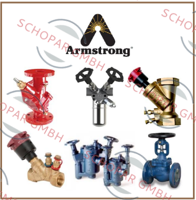 Armstrong-2033P-50 STEAMIX PREMIUM price