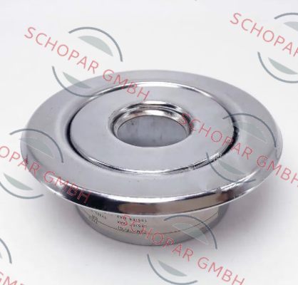 Tyco Fire-Recessed Escutcheon Edelstahl Rosette price