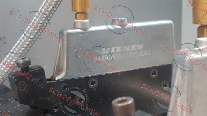 Dienes-10062442 (244A083001027) price