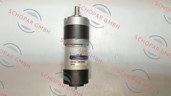 Micro Motors-E192.24.125 price