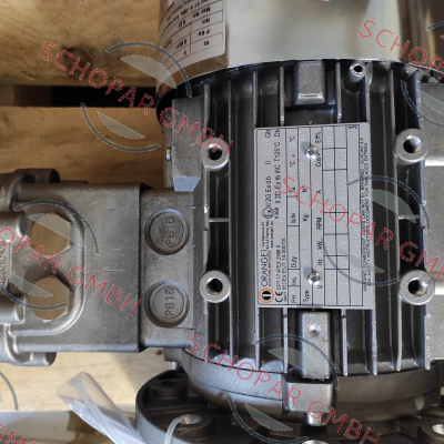 ORANGE1 (Elprom)-OH 90S A 4 / II 2GD Ex db IIC T4 Gb three-phase motor price