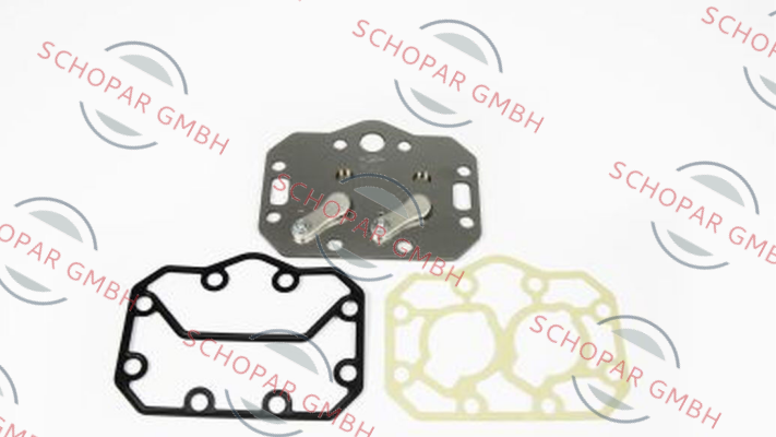 Bitzer-304 059 07 (101.380657) price