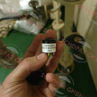 Alphasense-O2-A2 96254006 110 price