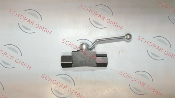 Rotelmann-BKH G1/4 6 11111 PN500 / 100018 price