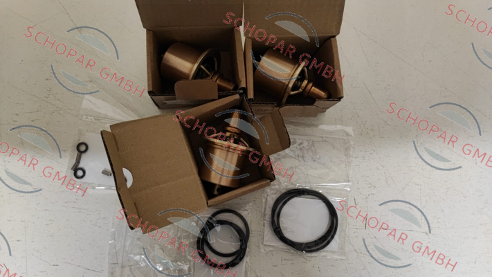 Thermoreg-1125V009 price