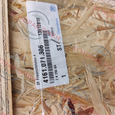 Zf-2K250GA / 4161 071 306 price