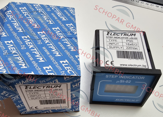ELECTRUM-µSI-02 type P00 price