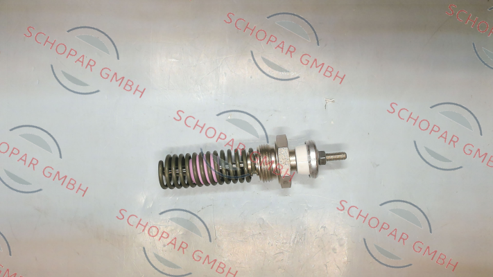 Beru-GH010 price