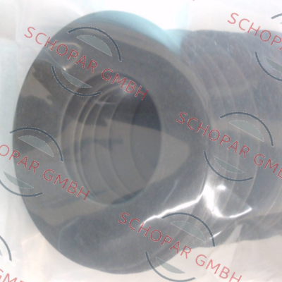 Schnorr-56X28.5X3 price