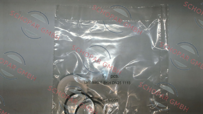 Pister-Gasket set for BKH DN25 1113 price