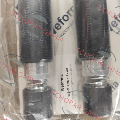 Weforma-Mega-Line WS-M 1,25 x 1 - 4H price