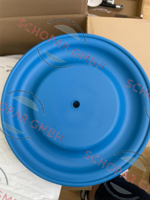 Verderair-819.1454 Membrane for VA50 HP SS 316 SP SP price