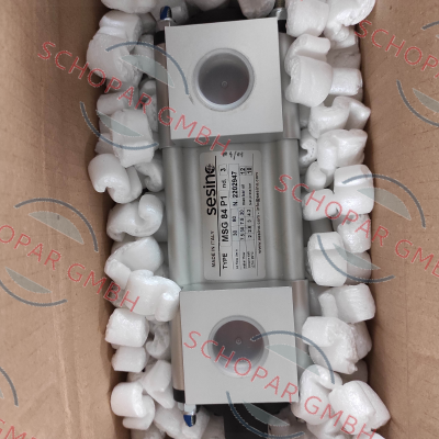 Sesino-MSG 84 P1 price